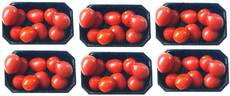 Tomaten-6x9B.jpg